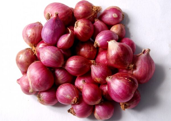 SMALL ONION (500g)